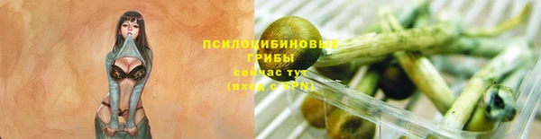 спиды Семёнов